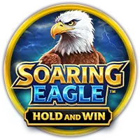 Soaring Eagle