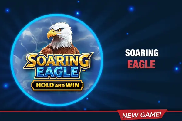 Soaring Eagle